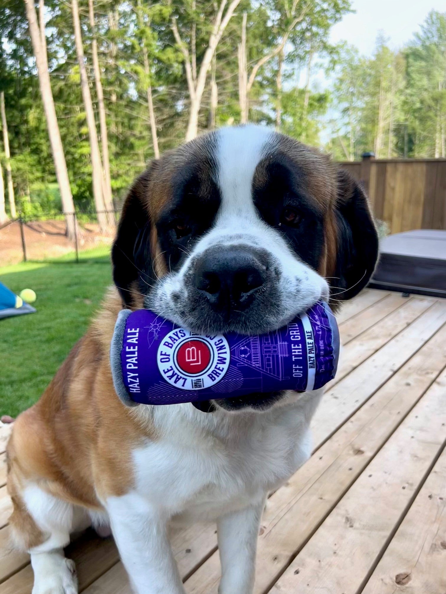 Lake of Bays Brewing Dog Chew Toy